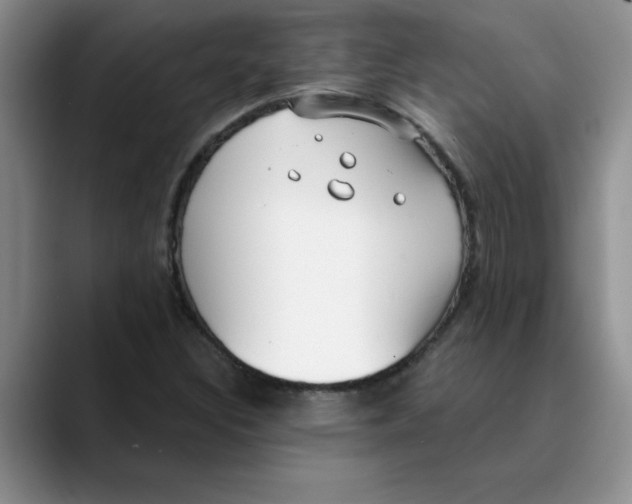 X0000089901308200707192025