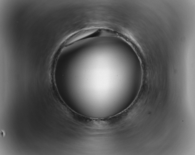 X0000089901312200707192025