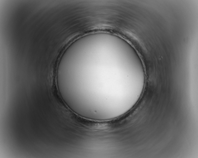 X0000089901313200707192025