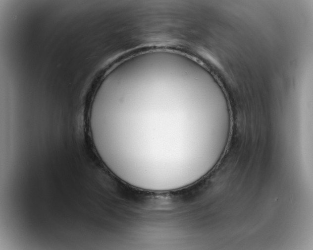 X0000089901315200707192025