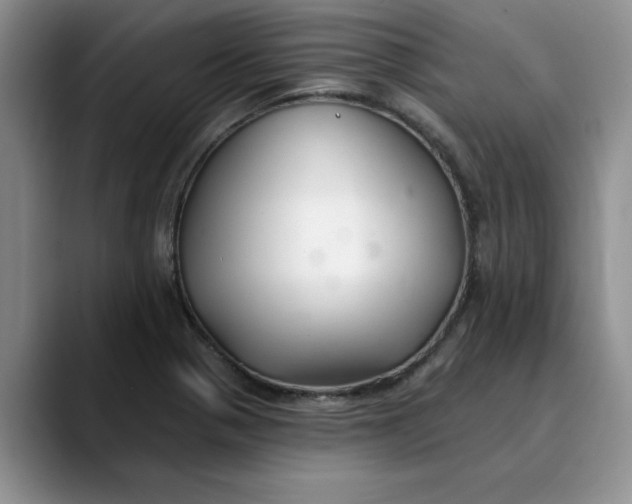 X0000089901321200707192026