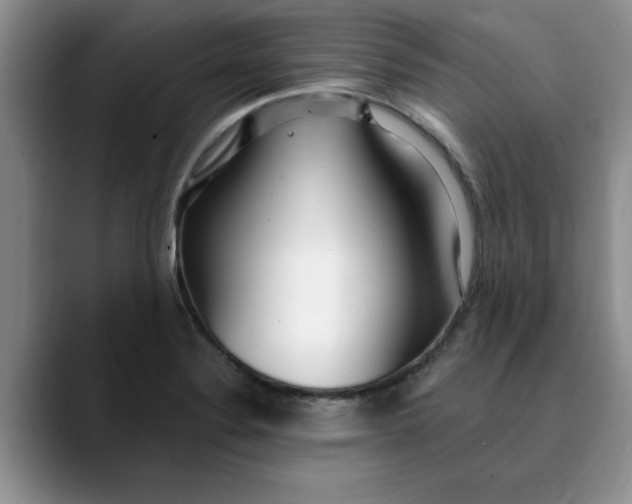 X0000089901324200707192026