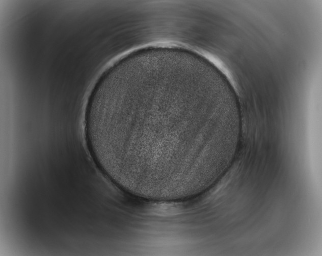 X0000089901327200707192026