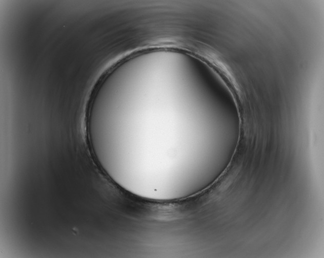 X0000089901328200707192026