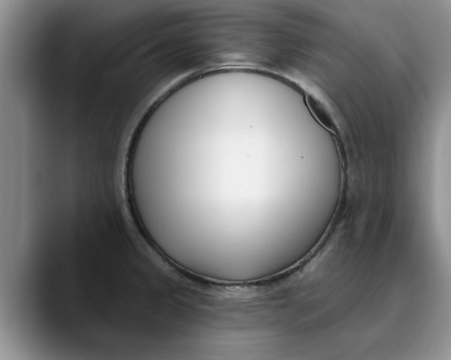 X0000089901333200707192026
