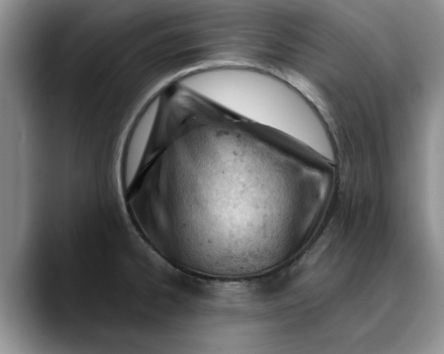 X0000089901334200707192026