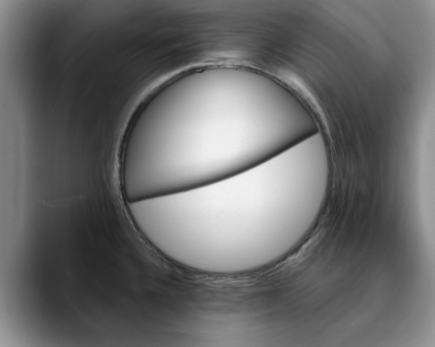 X0000089901336200707192026