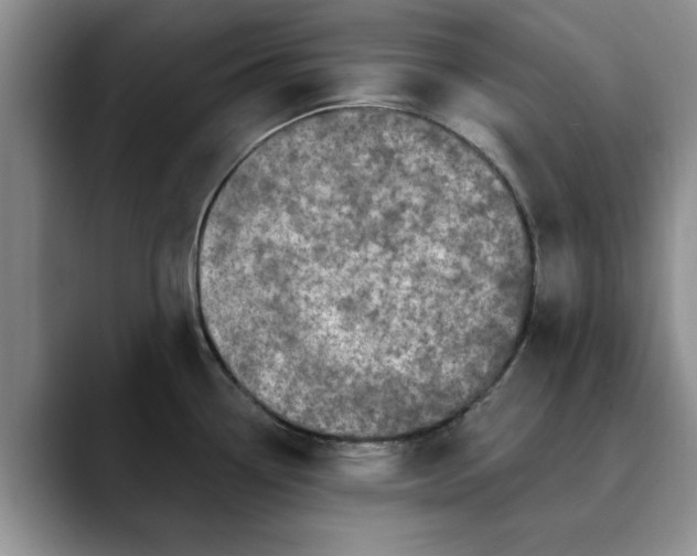 X0000089901338200707192026