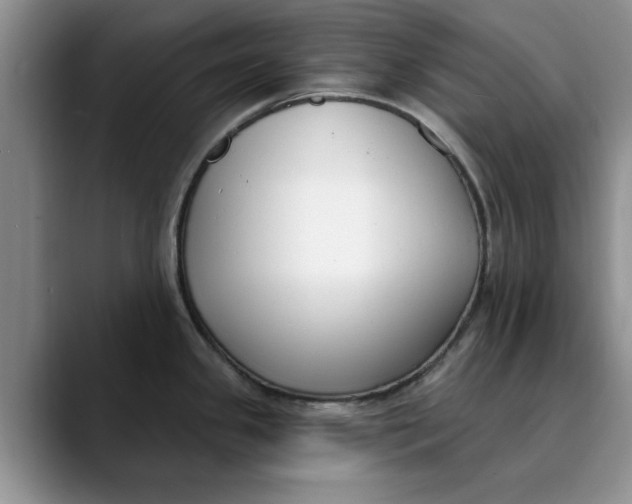 X0000089901341200707192026