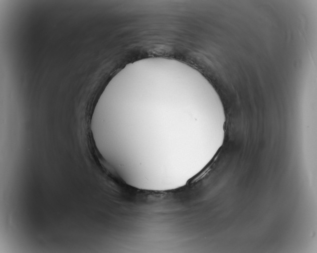 X0000089901345200707192025