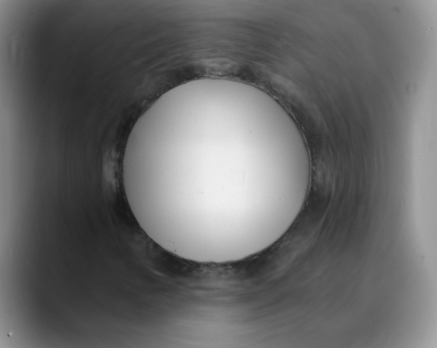 X0000089901346200707192025