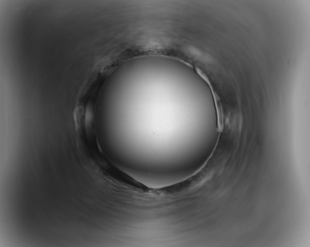 X0000089901348200707192025