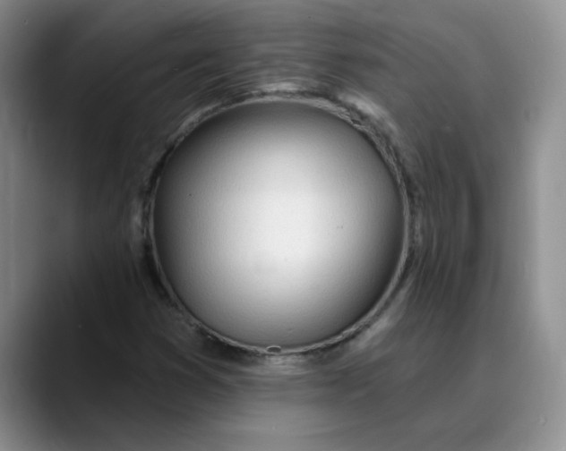 X0000089901353200707192025