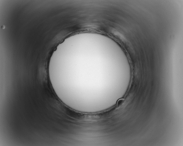 X0000089901354200707192025