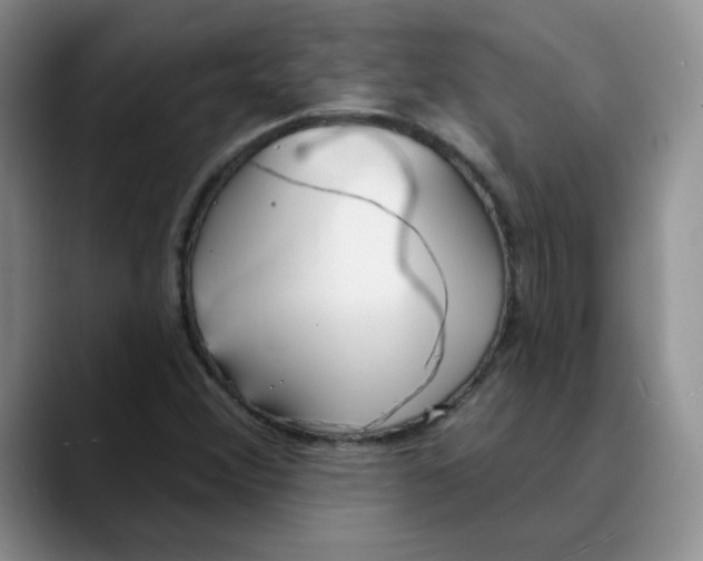 X0000089901356200707192025