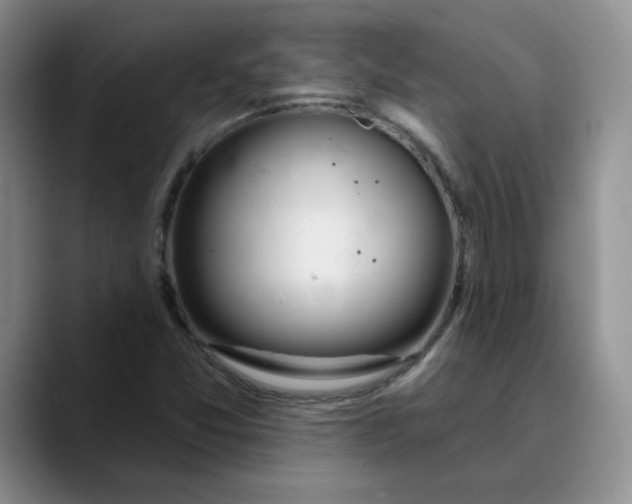 X0000089901357200707192025