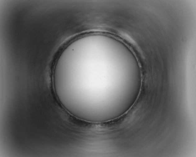 X0000089901360200707192025