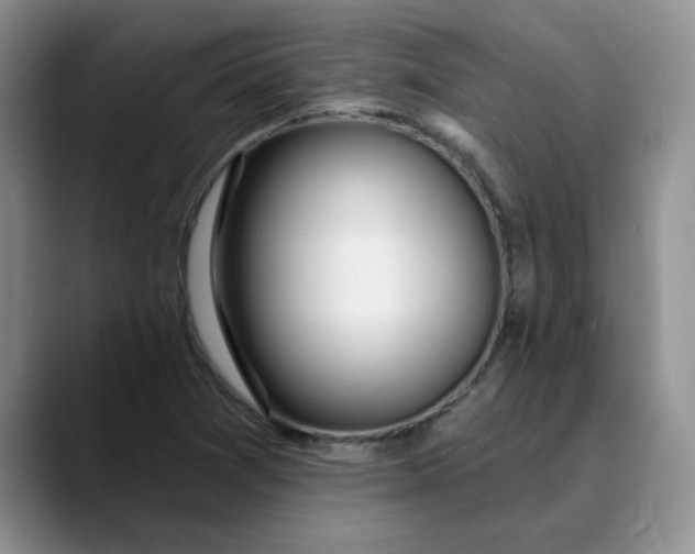X0000089901361200707192025