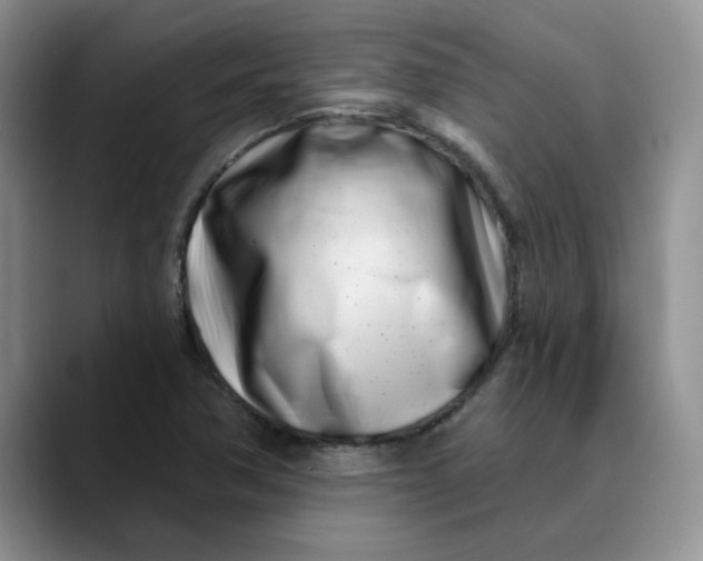 X0000089901362200707192025