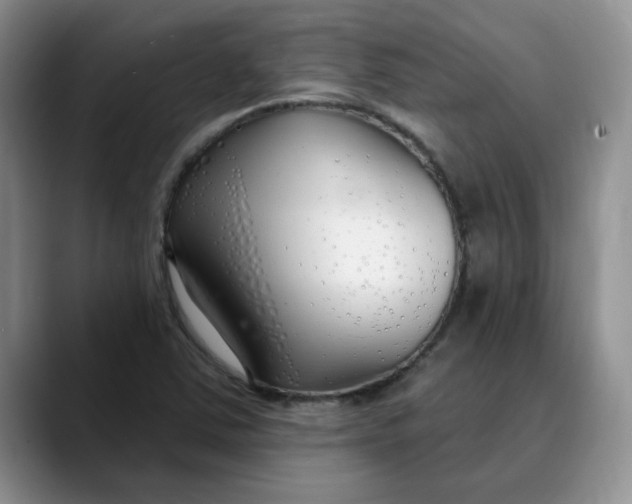 X0000089901363200707192025