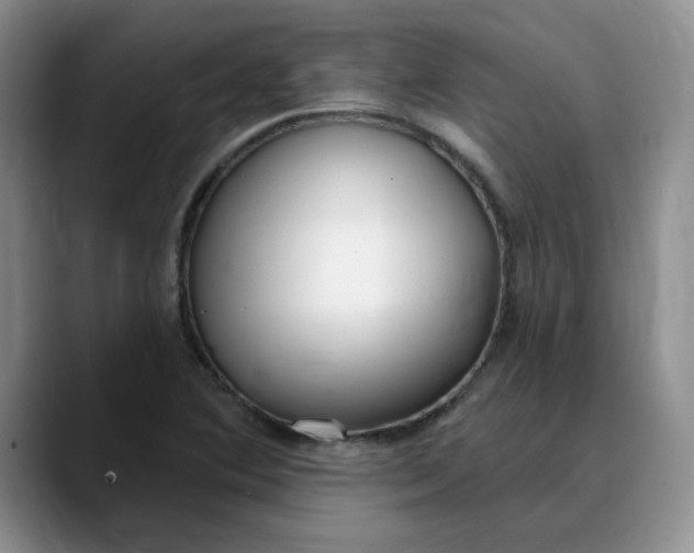 X0000089901364200707192025