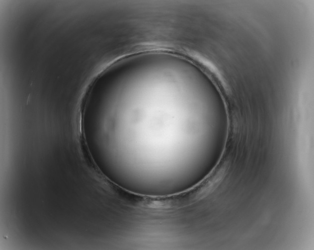 X0000089901365200707192025