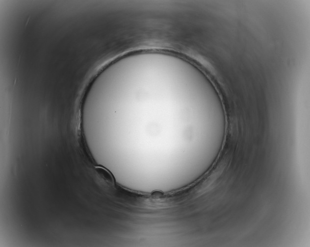 X0000089901366200707192025