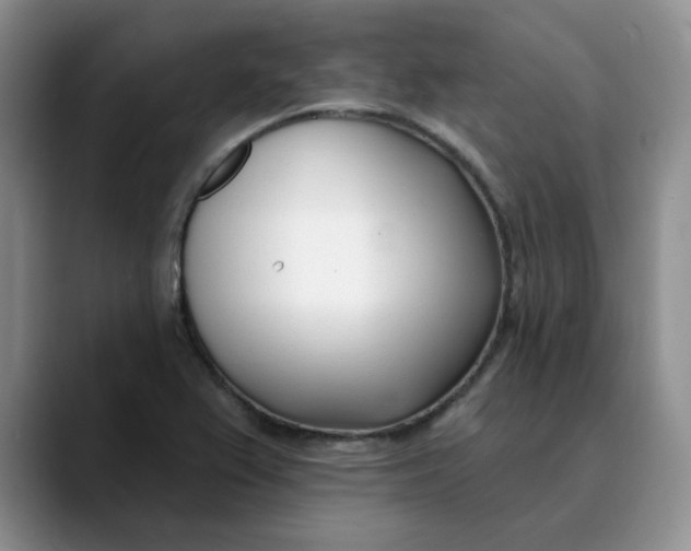 X0000089901367200707192025