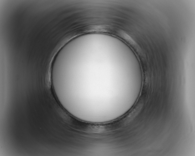 X0000089901370200707192025