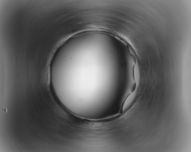 X0000089901371200707192025