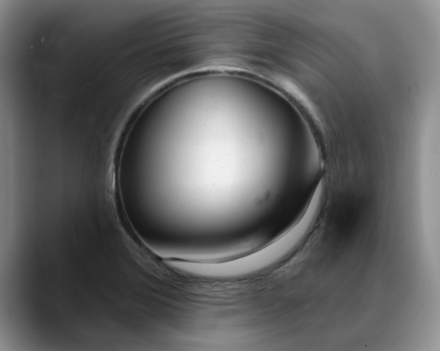 X0000089901372200707192025