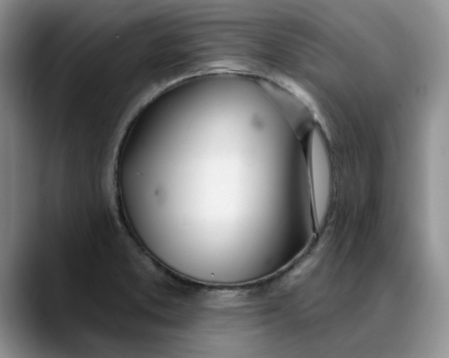 X0000089901373200707192025