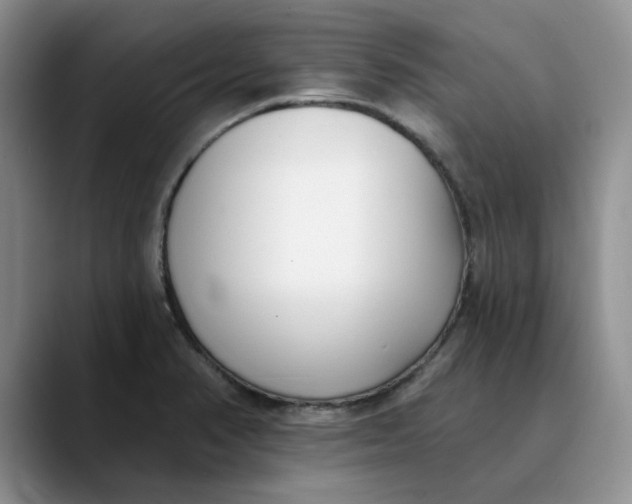 X0000089901374200707192025
