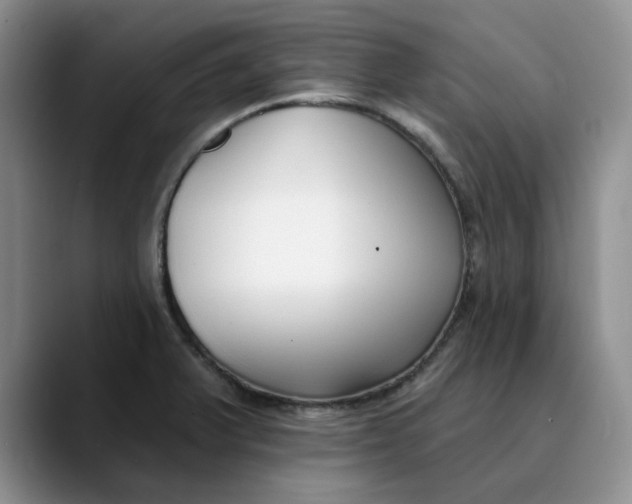 X0000089901375200707192025