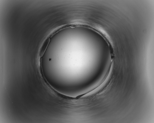 X0000089901376200707192025