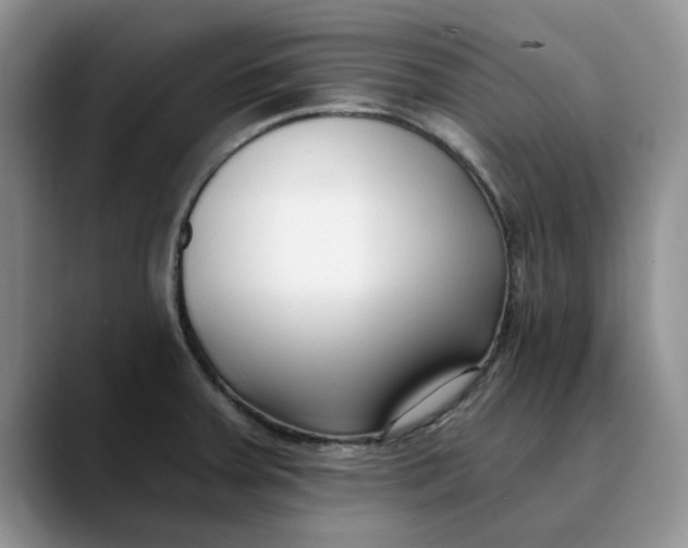 X0000089901379200707192025