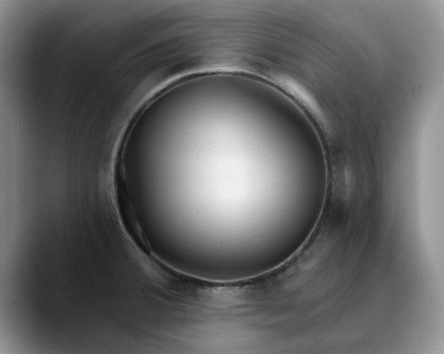 X0000089901380200707192025