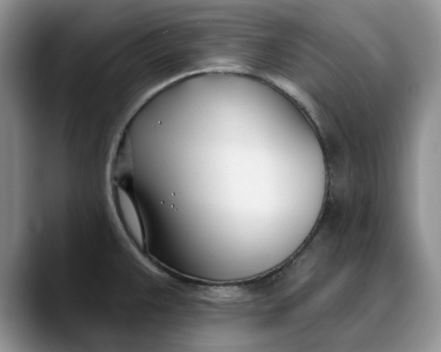 X0000089901383200707192025