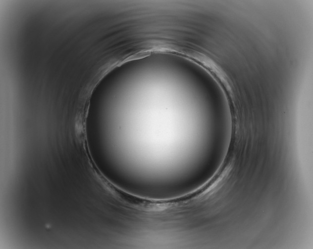X0000089901385200707192025