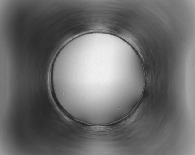 X0000089901391200707192025