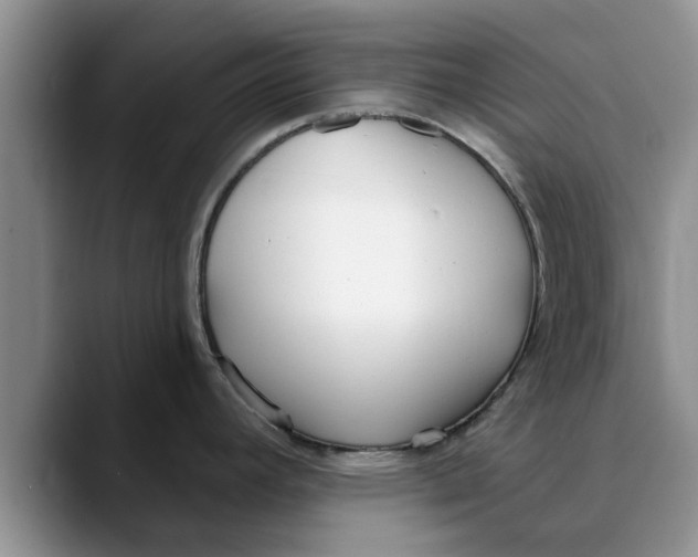 X0000089901392200707192025