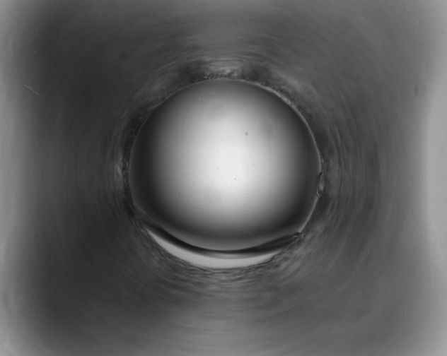 X0000089901394200707192024