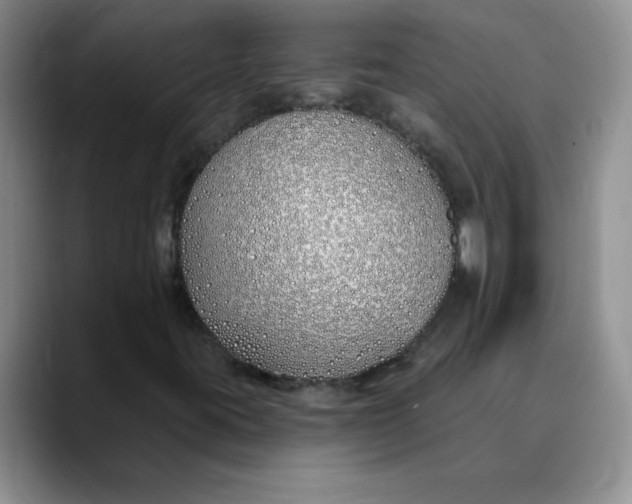 X0000089901395200707192024