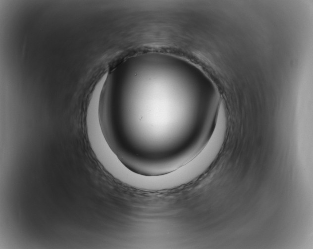 X0000089901398200707192024