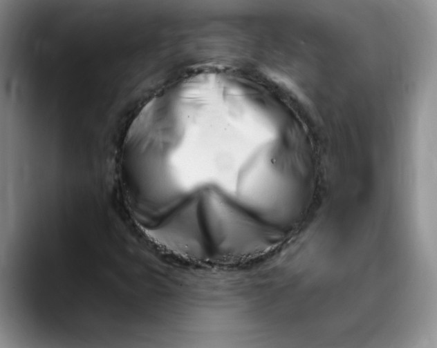 X0000089901399200707192024