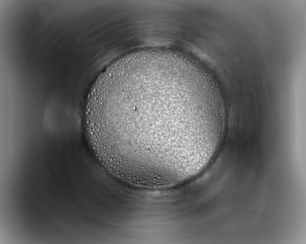 X0000089901401200707192024