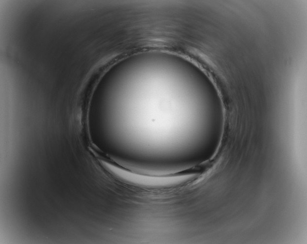 X0000089901402200707192024