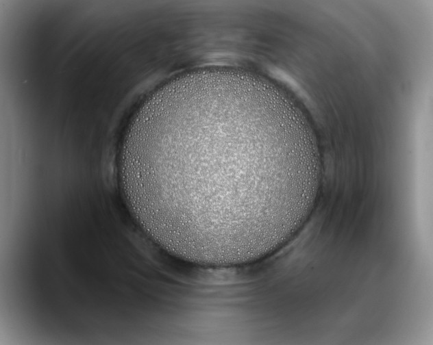 X0000089901403200707192024