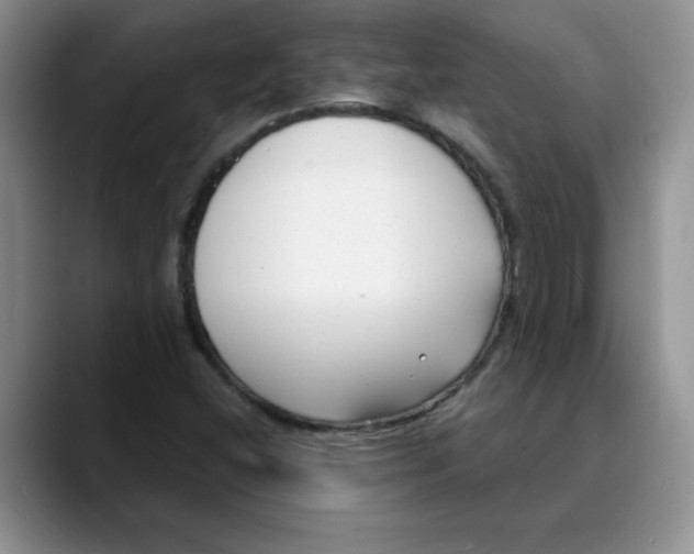 X0000089901404200707192024