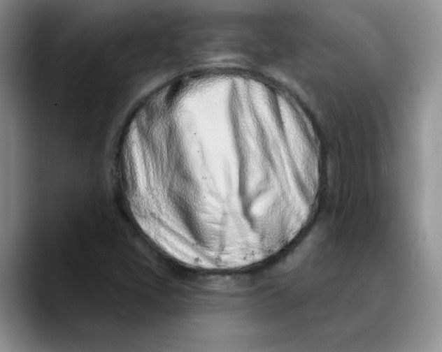 X0000089901405200707192024